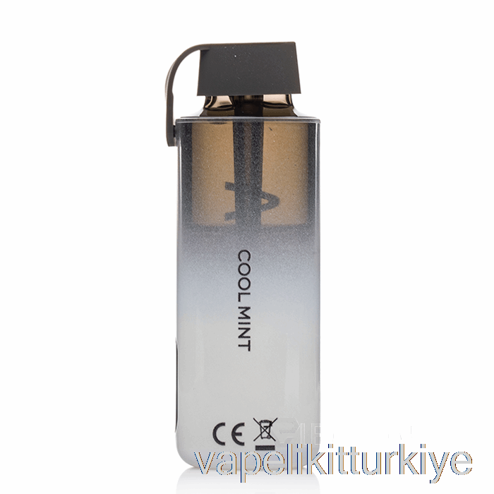 Vape Türkiye Vozol Neon 10000 Tek Kullanımlık Serin Nane